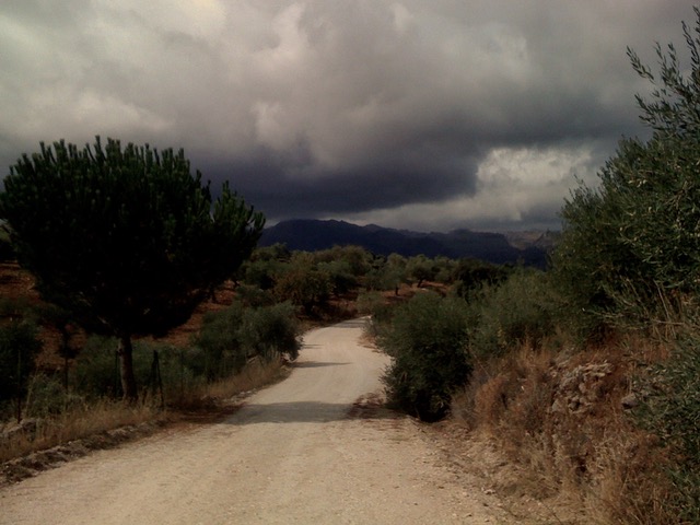 Approaching fall. Photo © Karethe Linaae